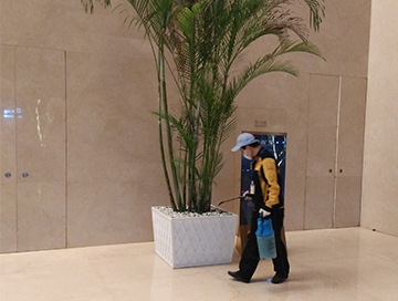 寫字樓大廳滅蚊蟲